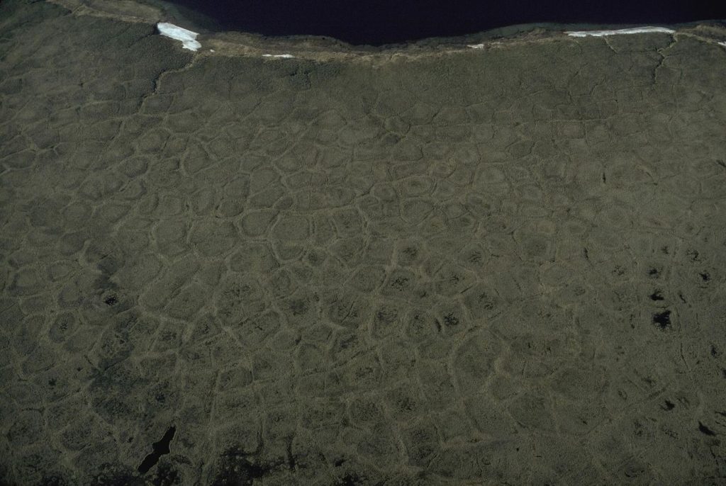 cracked tundra landscape in the far north